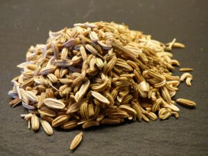 fennel, seeds, aromatic plant, food, meal, fennel, fennel, fennel, fennel, fennel